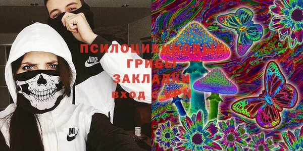 дурь Абаза