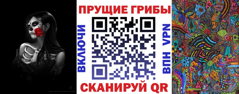 закладки  Фрязино  Галлюциногенные грибы Psilocybine cubensis 