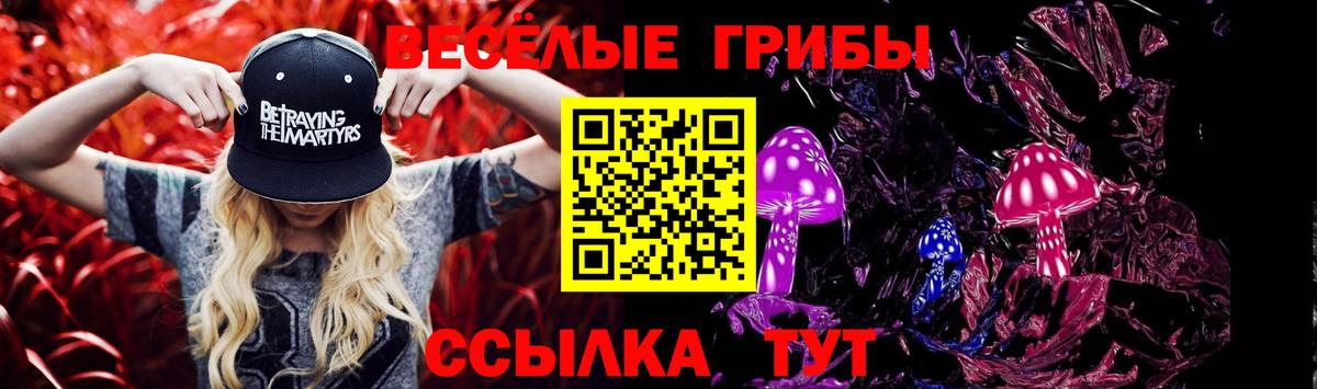 закладки  Галлюциногенные грибы прущие грибы  Вход с VPN  Псилоцибиновые грибы GOLDEN TEACHER  Фрязино 