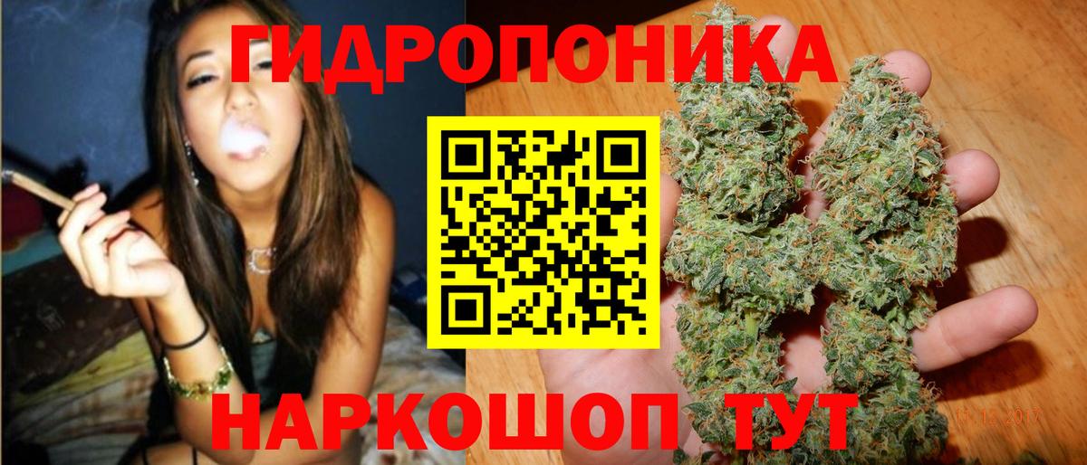 Конопля Ganja  МАРИХУАНА ГИДРОПОН  Шишки марихуана Amnesia  Фрязино  Вход с VPN 